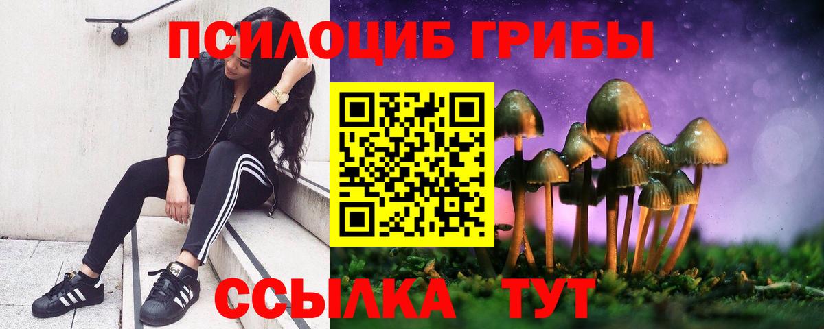 Псилоцибиновые грибы ЛСД Сосновоборск